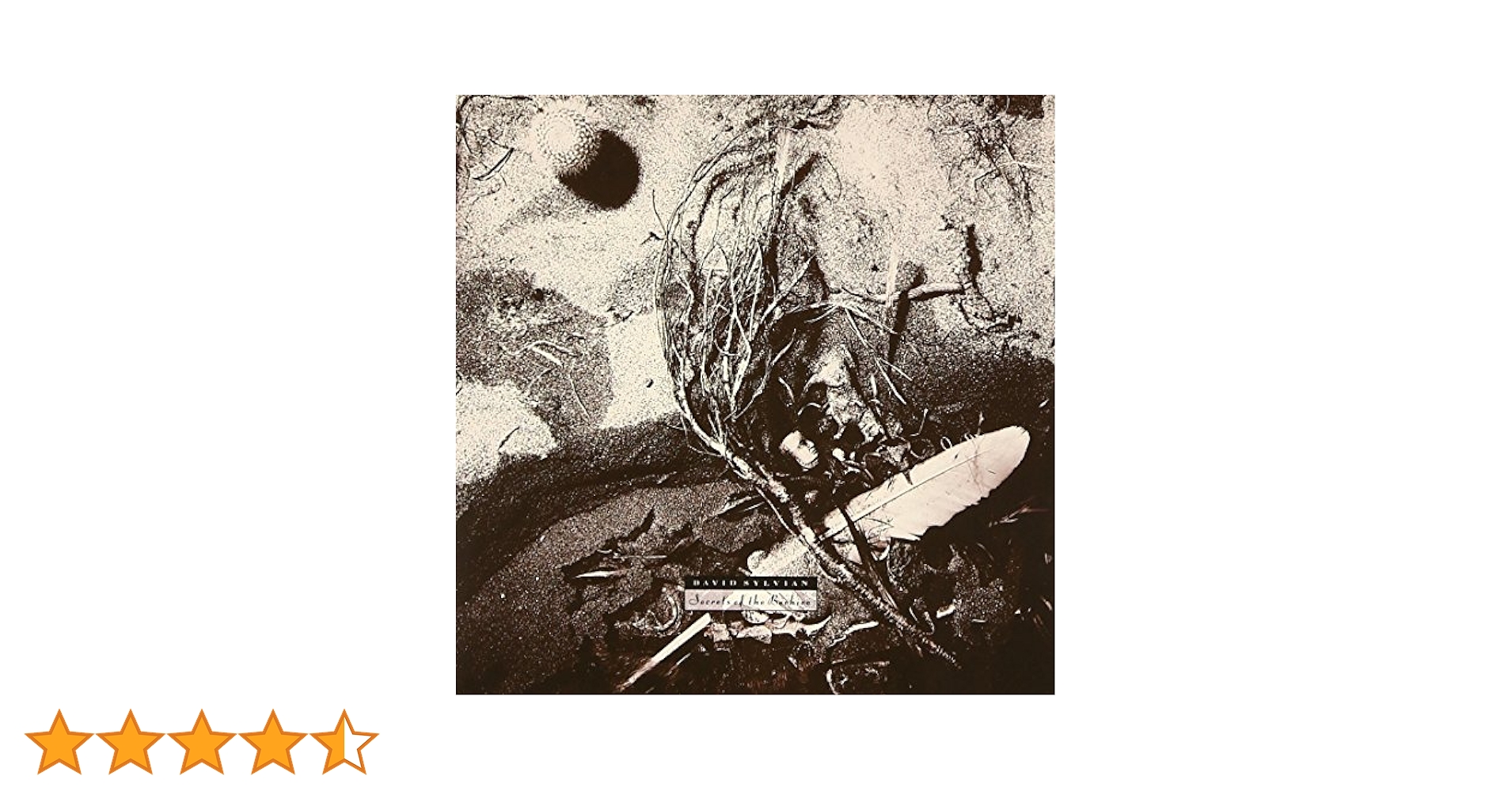 【LP/帯付】デヴィッド•シルヴィアン / シークレッツ•オブ•ザ•ビーハイヴ Amazon.co.jp: シークレッツ・オブ・ザ・ビーハイヴ: ミュージック